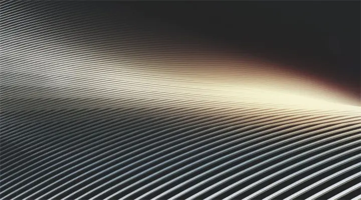 Market Development Status and Prospect Forecast